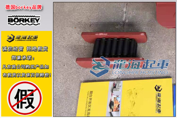 德國C系列載重滾輪搬運(yùn)車圖片